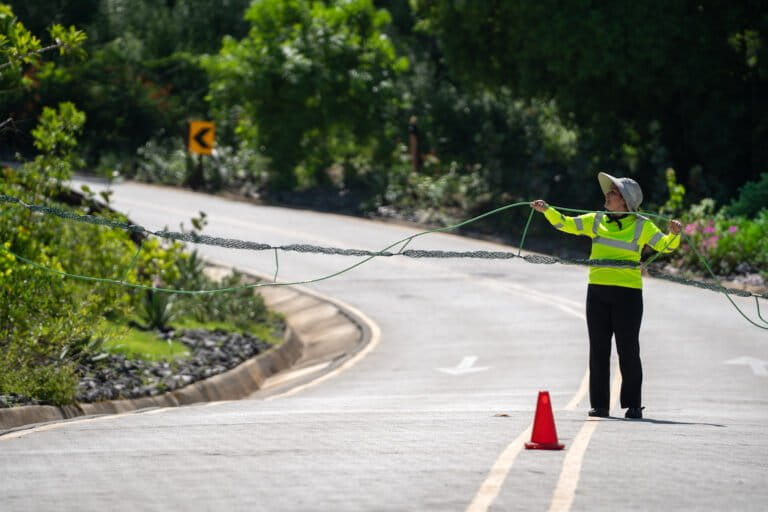 La organización Salve Monos ha logrado colocar más de 400 pasos elevados para ayudar a los primates a cruzar las calles de forma segura. Foto: cortesía Salve Monos