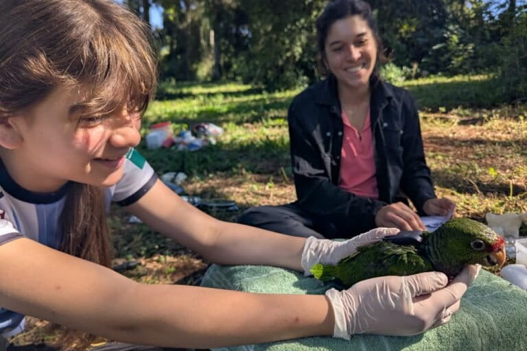 La divulgación del trabajo de conservación también involucra a los niños de la zona. A partir de un Club de la Naturaleza los chicos participan en actividades para valorar la biodiversidad de la selva misionera. Foto: cortesía Aves Argentinas