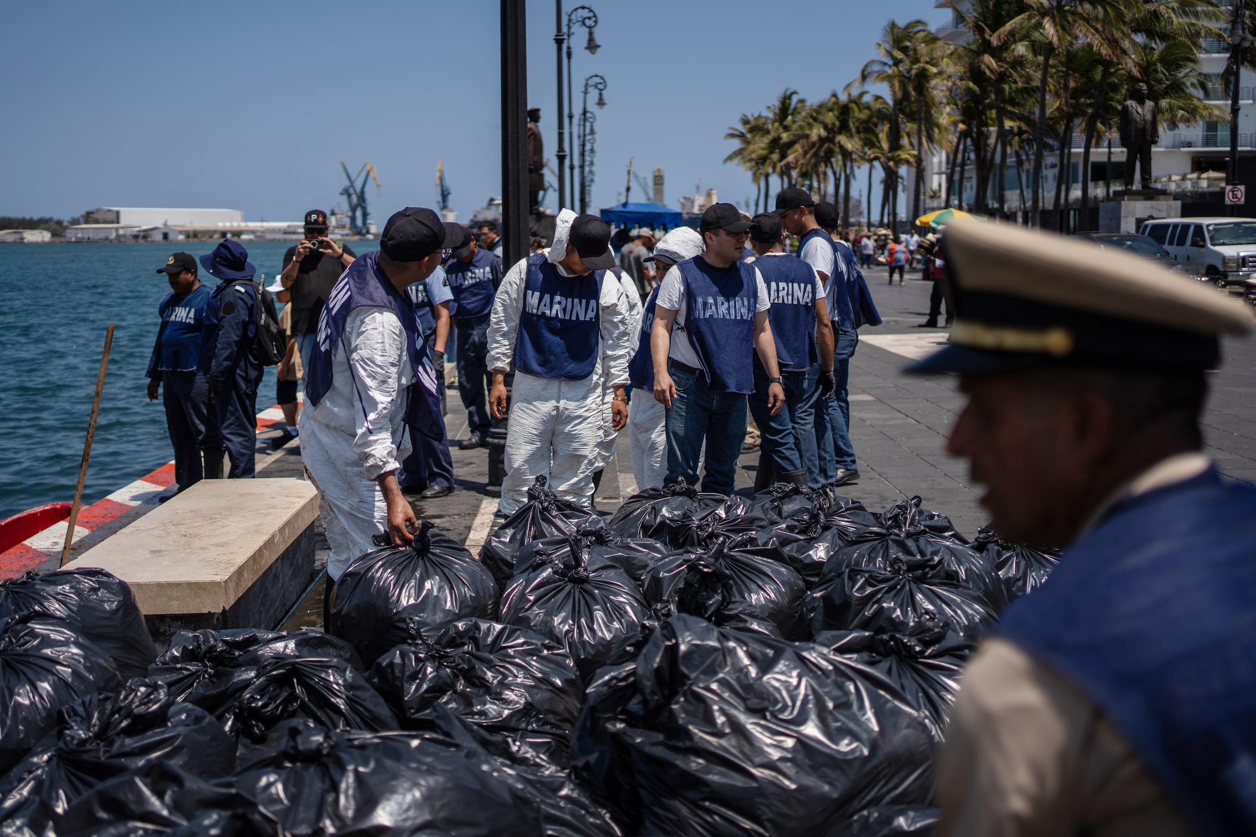Bolsas llenas de sargazo manchado de petróleo, recogido por marineros de la Armada mexicana, permanecen en un puerto de Veracruz