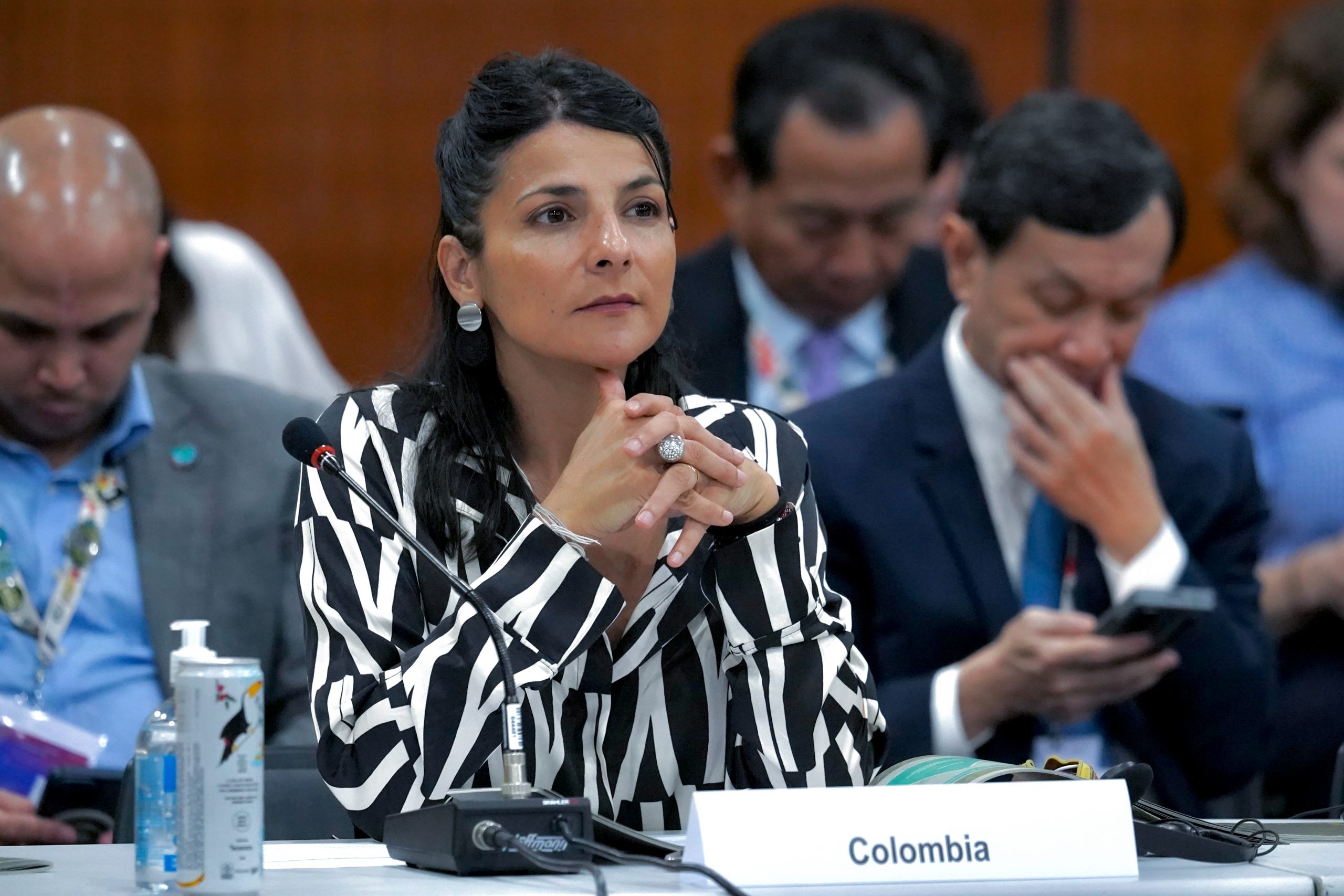 ministra de Ambiente y Desarrollo Sostenible, Irene Vélez Torres