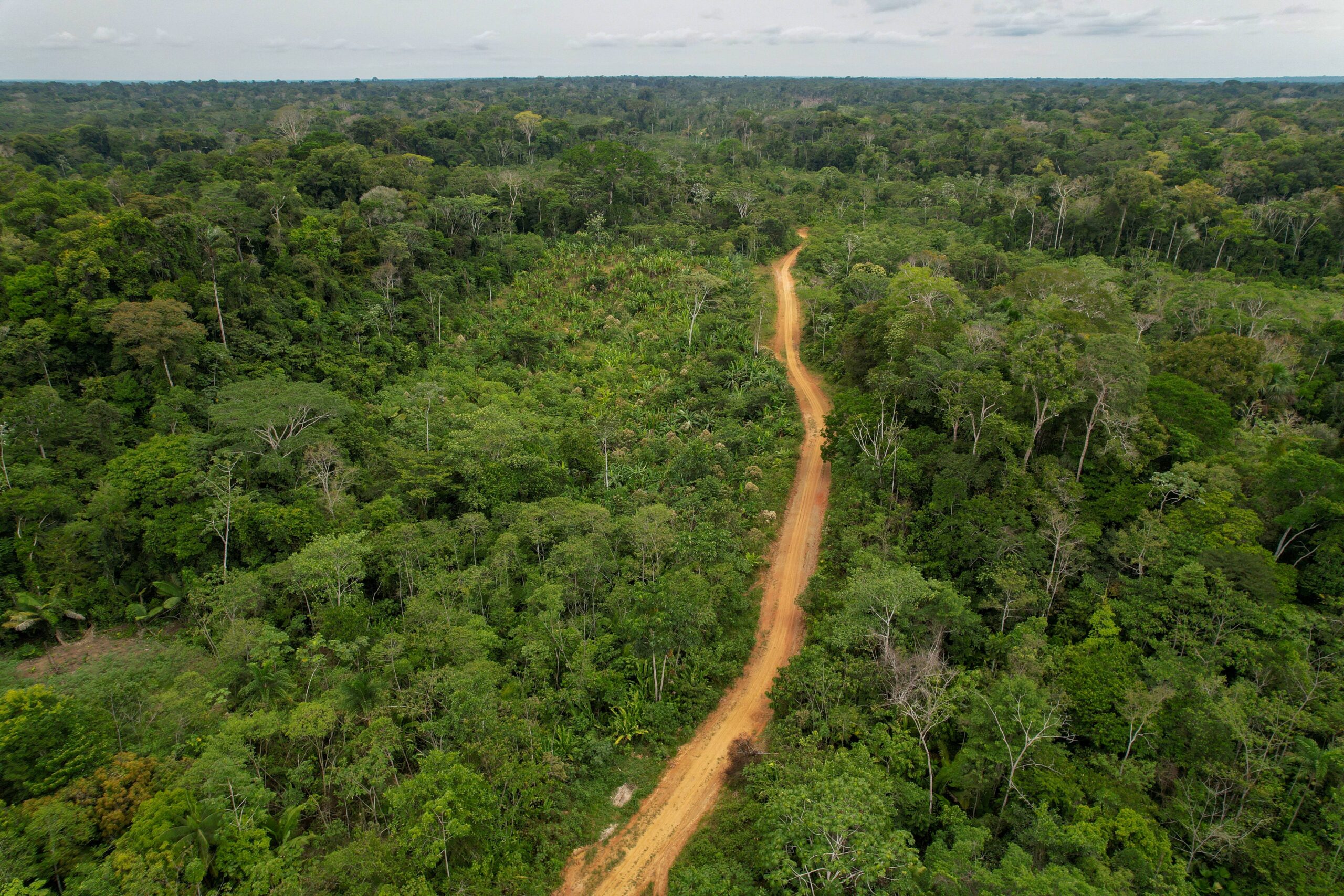 Las comunidades que viven en el Putumayo temen del incremento de las actividades ilegales ante el avance de la construcción de la carretera a El Estrecho Foto: cortesía Vico Méndez//SPDA