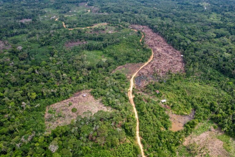 Foto: De camino a la comunidad hay zonas deforestadas a lado de caminos sin asfalto. Cortesía: Vico Méndez / SPDA