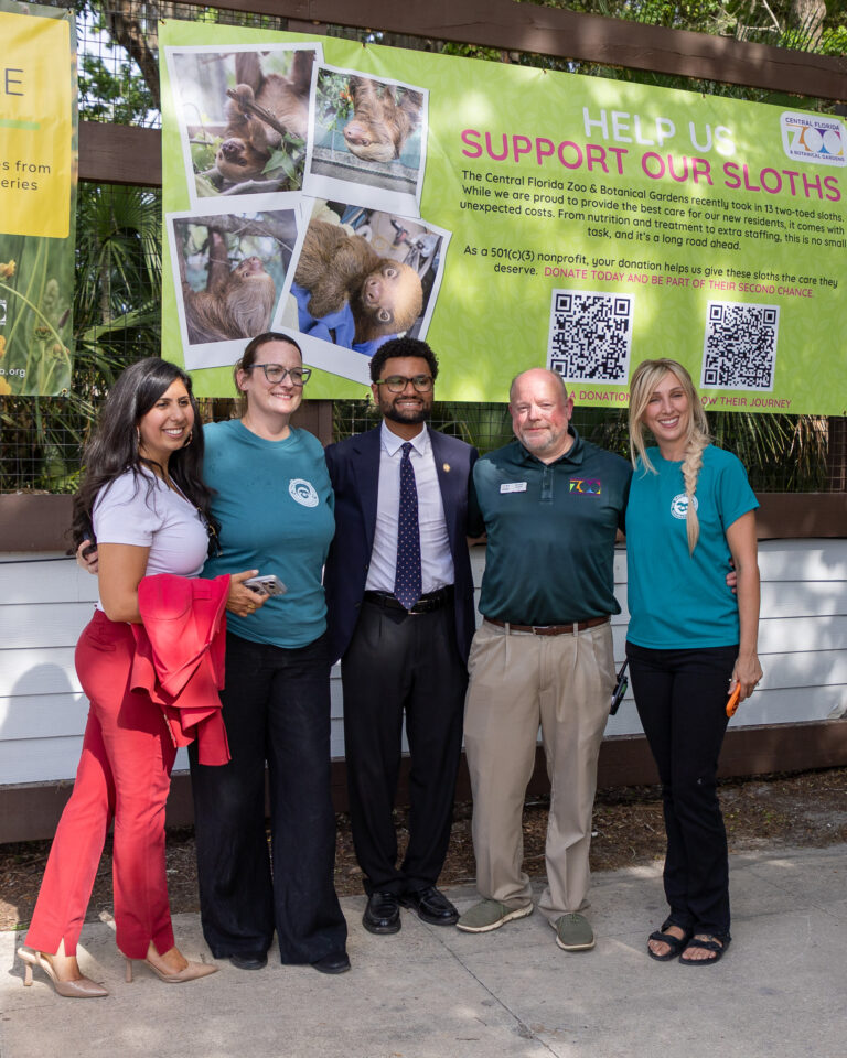 Sloth World - Orlando - Perezosos - Perú - Guyana