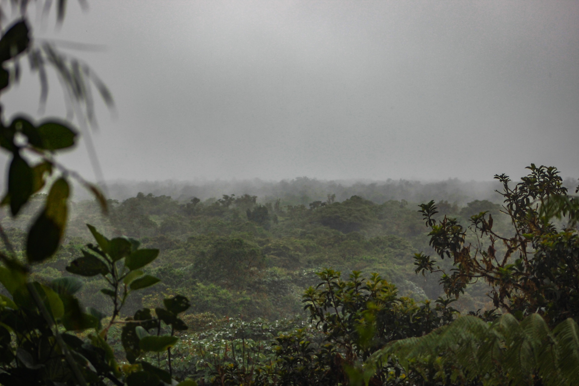 Investigadores awá - Colombia - Reserva La Planada