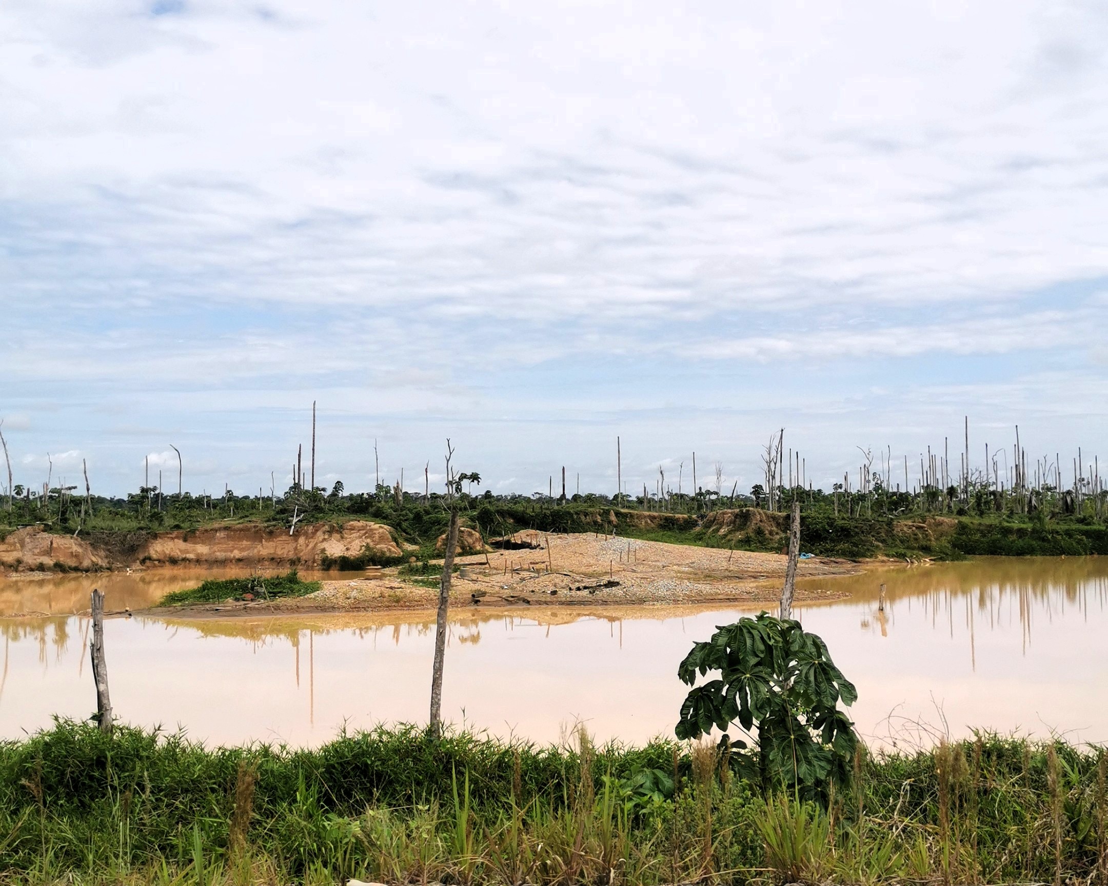 En Madre de Dios no se pueden otorgar nuevas concesiones desde 2011, pero se siguen recibiendo solicitudes para iniciar operaciones en terrenos devastados como el de la imagen. Foto: Elizabeth Salazar