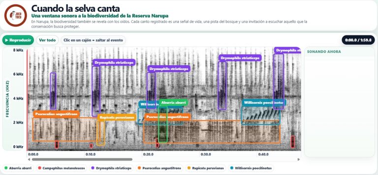 Visualizador-bio-acustica