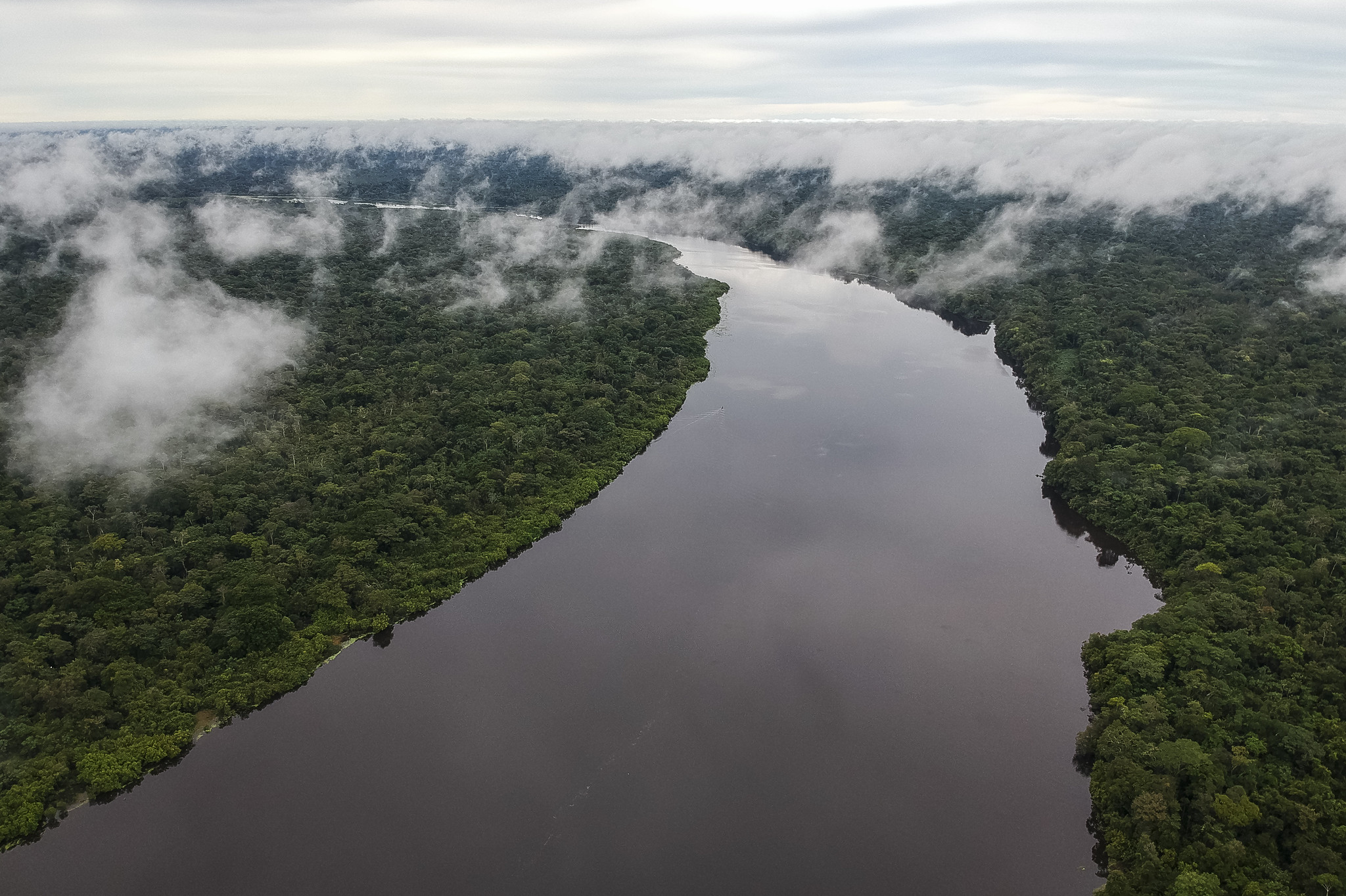 Fotografía aérea de río y selva amazónicos