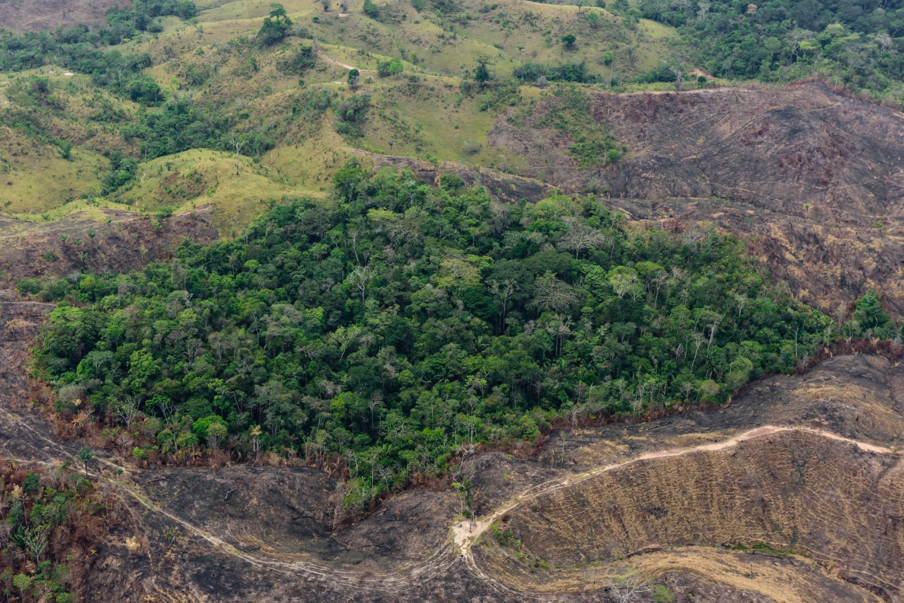 Área deforestada en la Amazonía colombiana