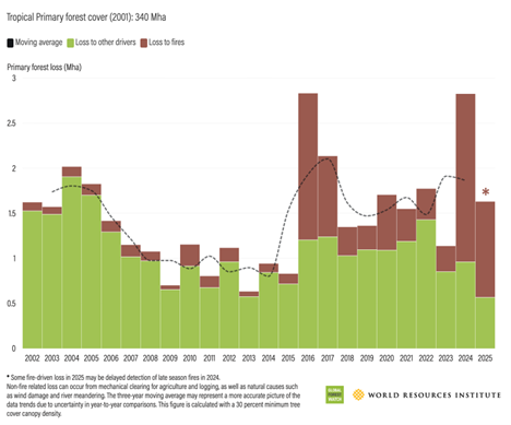 Gráfico sobre pérdida de bosque durante 2025 en Brasil