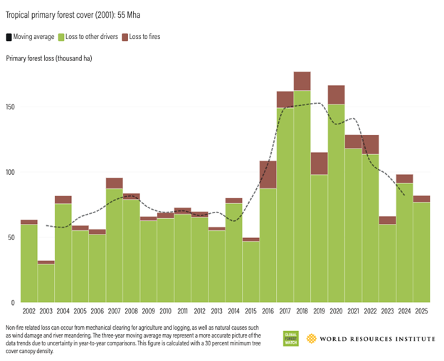 Gráfico sobre pérdida de bosque durante 2025 en Colonbia