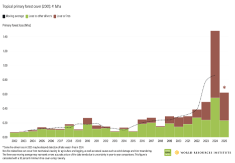 Gráfico sobre pérdida de bosque durante 2025 en Bolivia