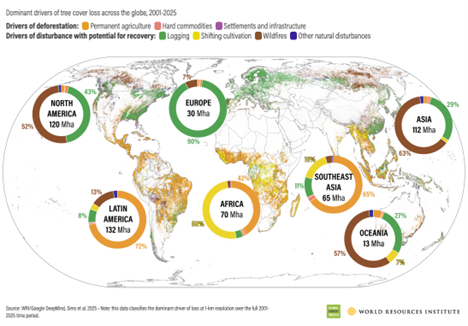 Gráfico sobre pérdida de bosque durante 2025 en regiones del mundo