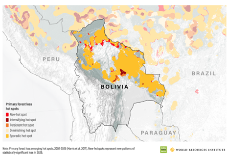 Mapa sobre los focos de pérdida de bosque durante 2025 en Bolivia