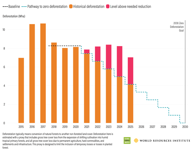Gráfico sobre pérdida de bosque durante 2025 y las proyecciones a 2030