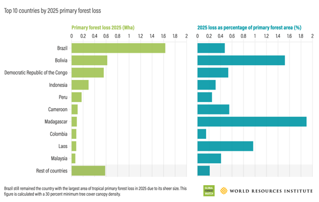 Gráfico sobre los 10 países con mayor pérdida de bosque durante 2025 en el mundo
