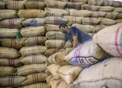 produccion-exportacion-cafe-colombia_50643661_20260516155451