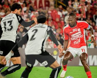 rodallega_50560724_20260506214132
