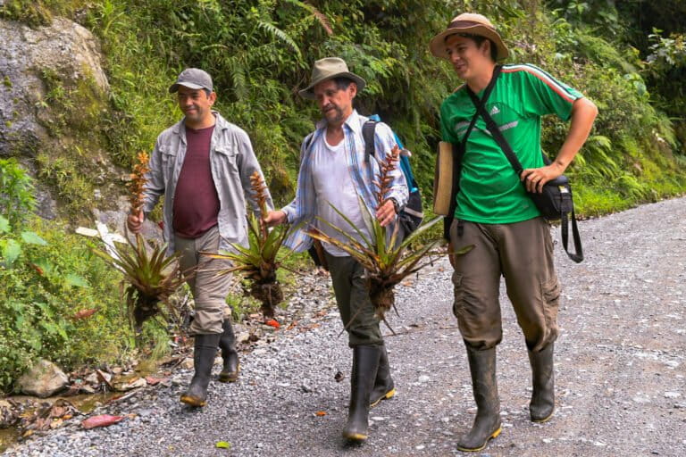 El Instituto SINCHI considera que el herbario llena un vacío histórico de documentación botánica en el sur de Colombia. Foto: cortesía de las comunidades inga y kamentsa