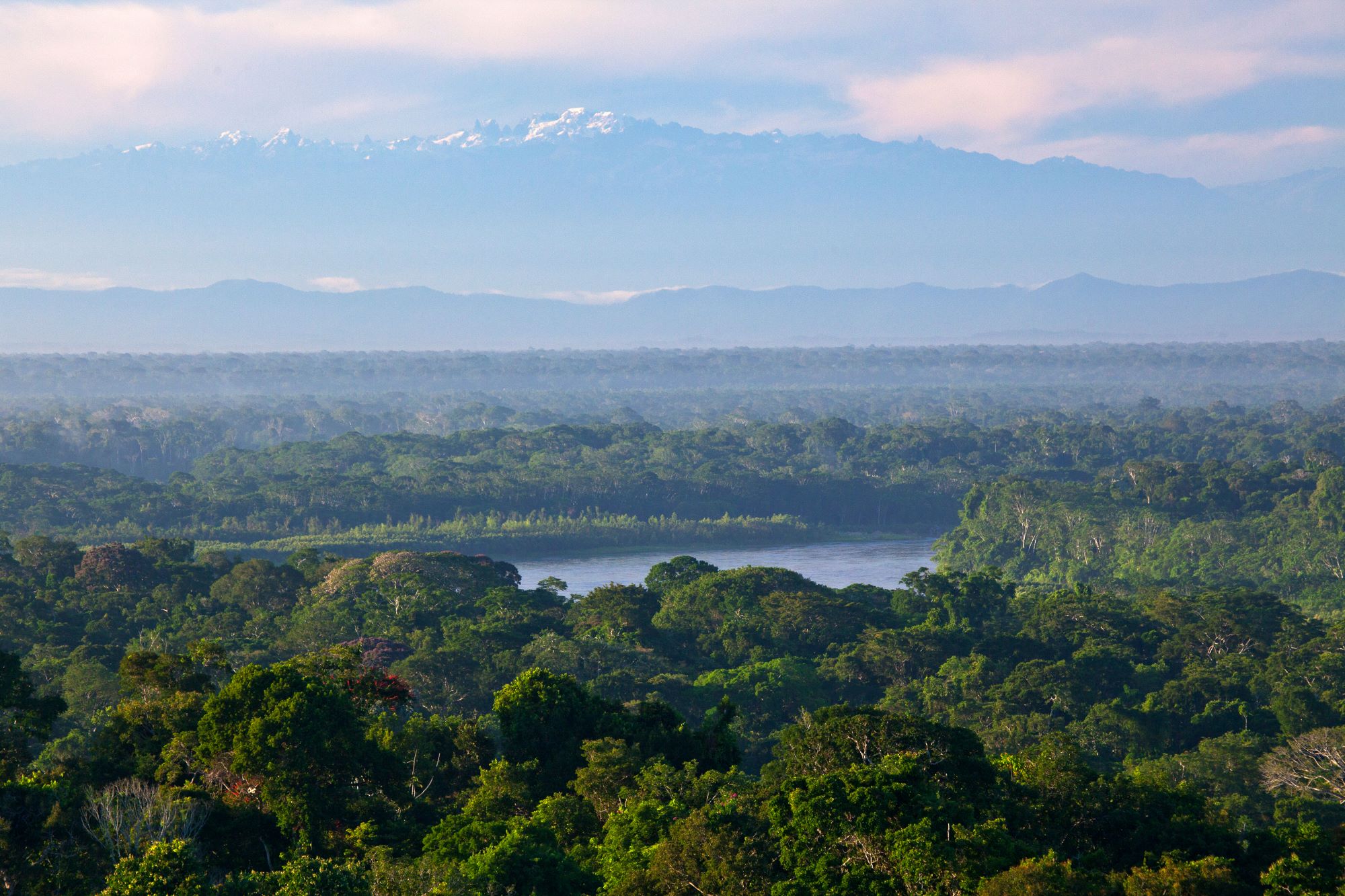 Una investigación en la Amazonía identificó corredores climáticos que se extienden por varias gradientes altitudinales. Foto: cortesía Conservación Amazónica (ACCA).