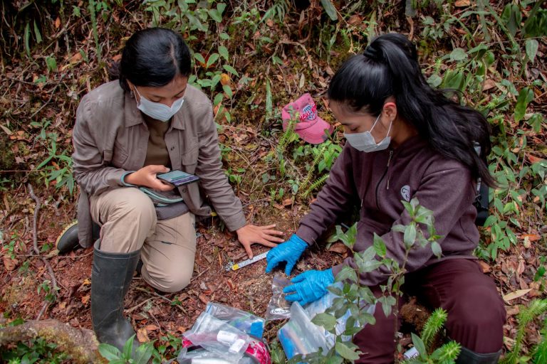 Investigadores de varios países analizaron los denominados corredores resilientes al cambio climático o corredores climáticos. Foto: Elías Condori / ACCA.