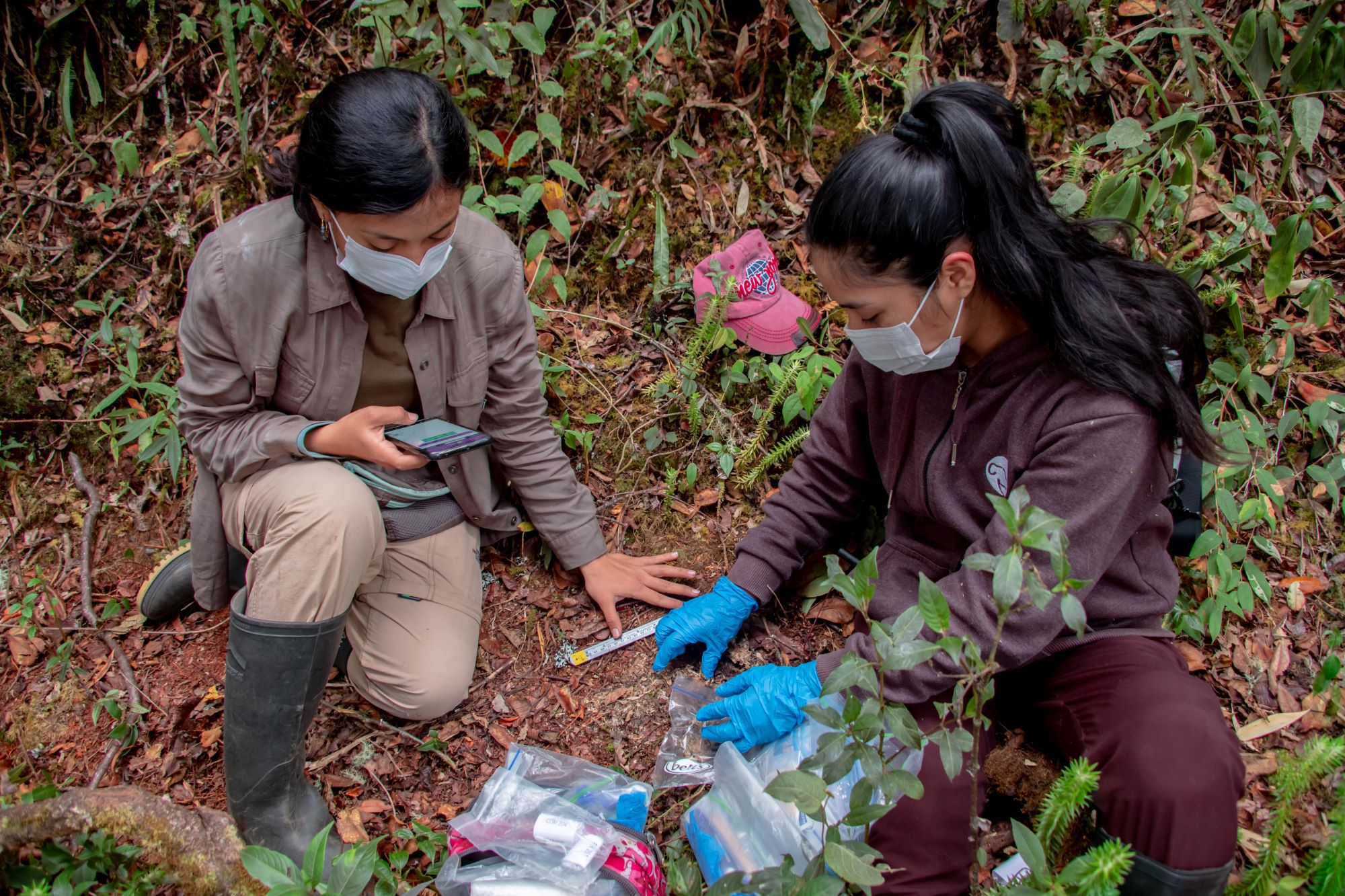 Investigadores de varios países analizaron los denominados corredores resilientes al cambio climático o corredores climáticos. Foto: Elías Condori / ACCA.