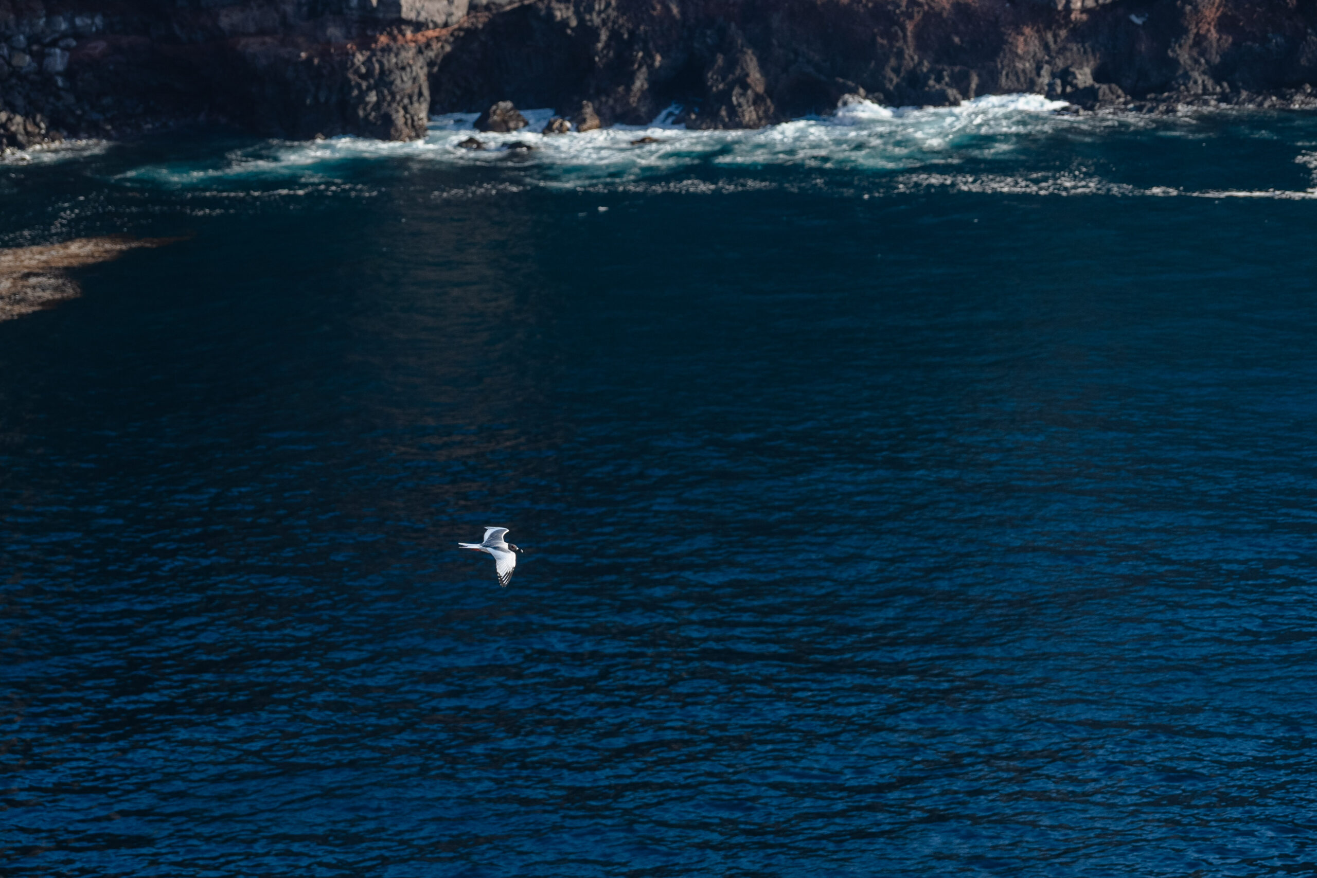 Las islas Galápagos están ubicadas a 965 kilómetros de la costa de Ecuador en el Océano Pacífico. Foto: cortesía Bryan Pérez