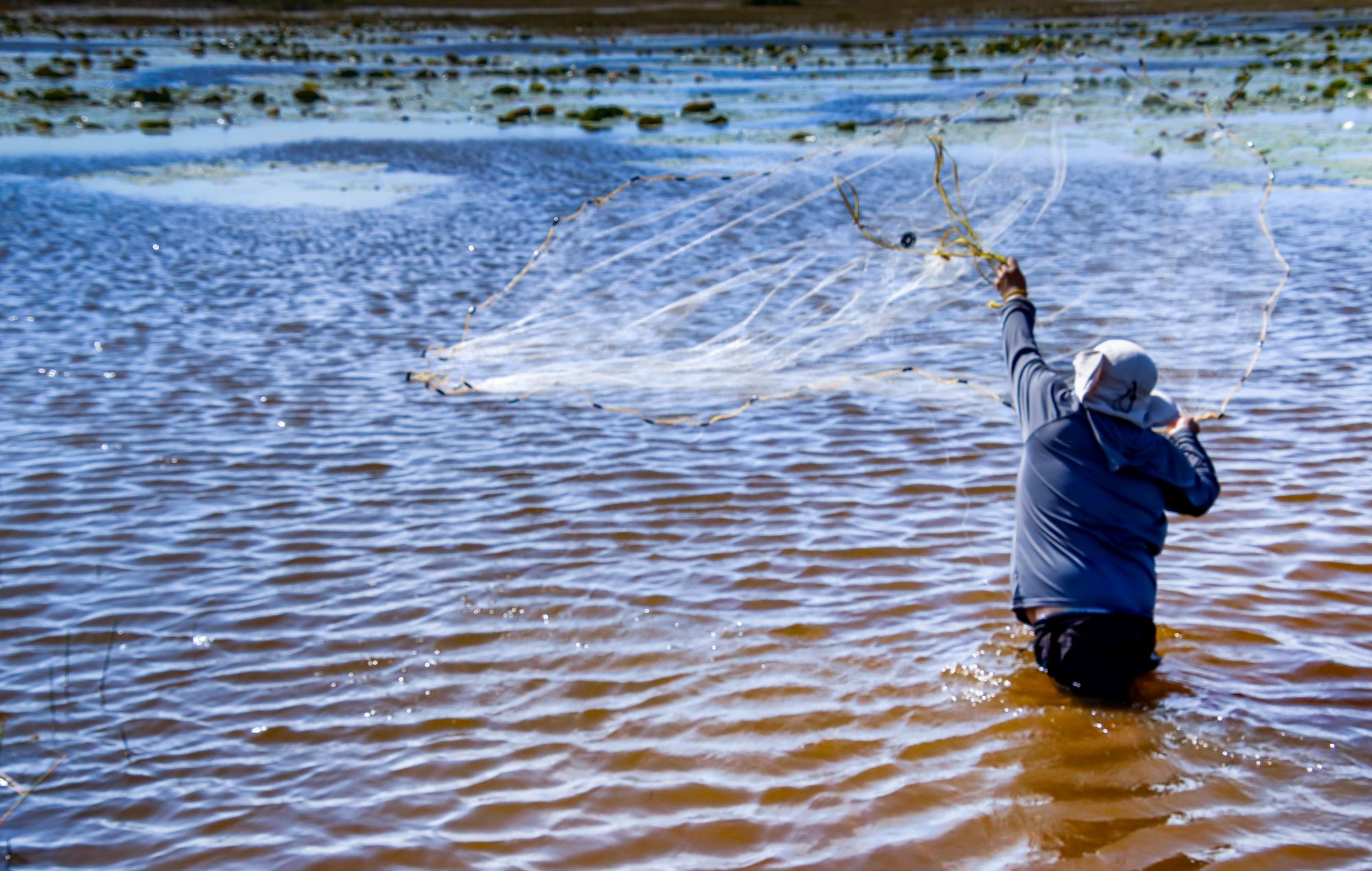 Una investigación en México analizó los impactos del cambio climático en los peces de agua dulce. Foto: Giovani Anguiano Lara.