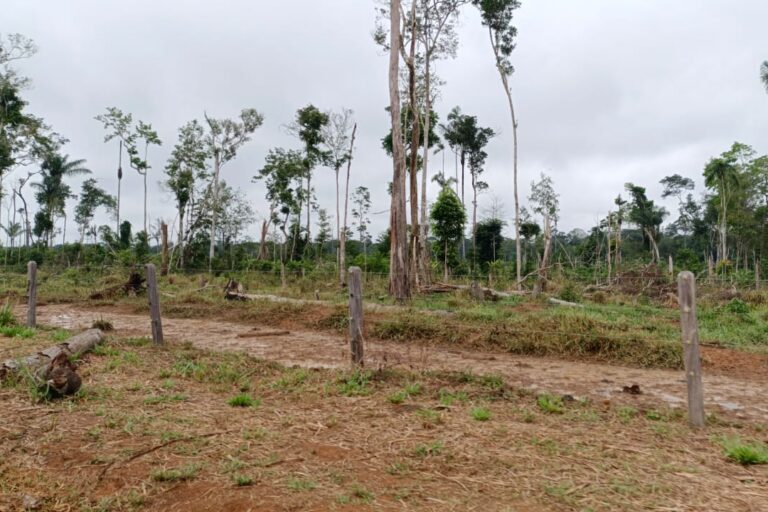Las precarias vías de acceso, construidas a mano por las comunidades del Guaviare, se convierten en trampas de lodo durante la temporada de lluvias. Esta falta de infraestructura vial impide que los campesinos comercialicen cultivos legales. Foto César Molinares