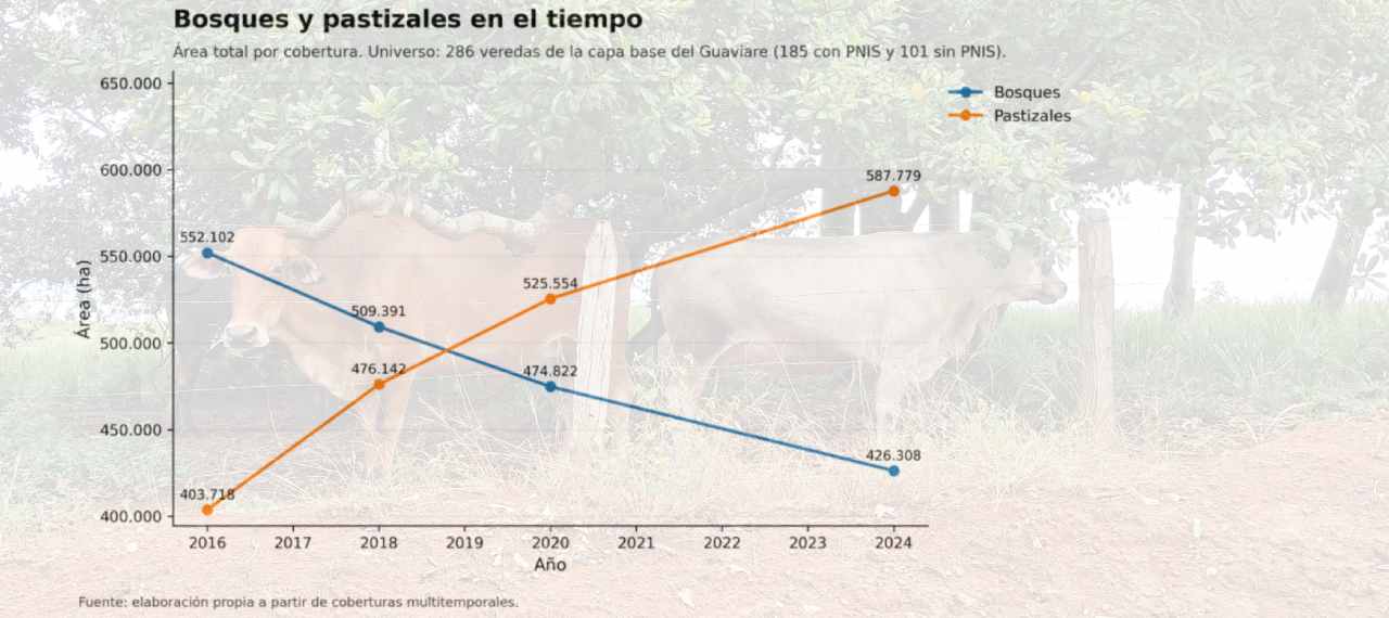 Así aumentaron los pastizales y disminuyeron los bosques en 286 veredas del departamento de Guaviare entre 2016 y 2024. Gráfico: elaboración propia