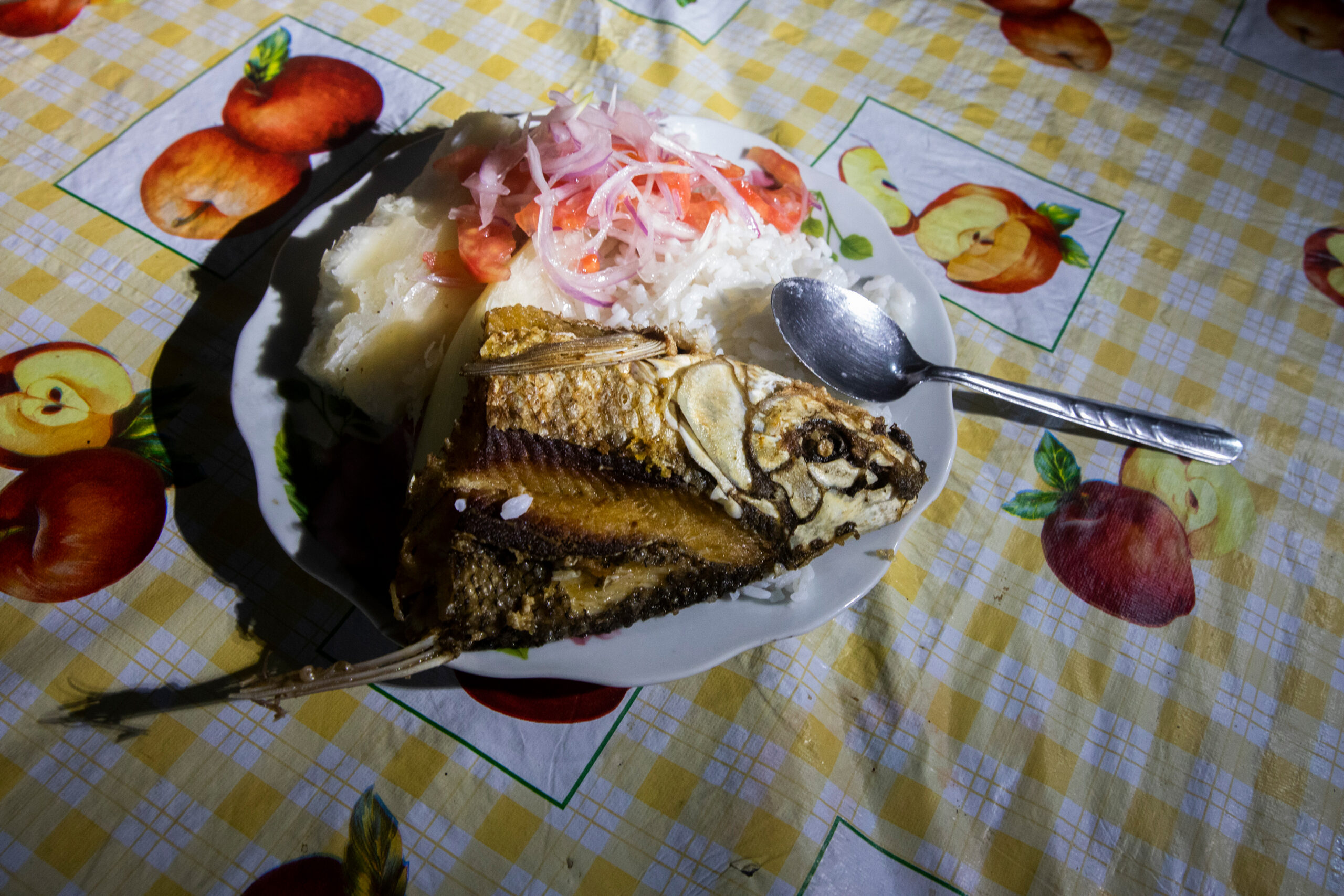 El consumo de pescado es la principal vía de contaminación por mercurio para pobladores indígenas y habitantes ribereños de las cuencas analizadas. Foto: Max Cabello