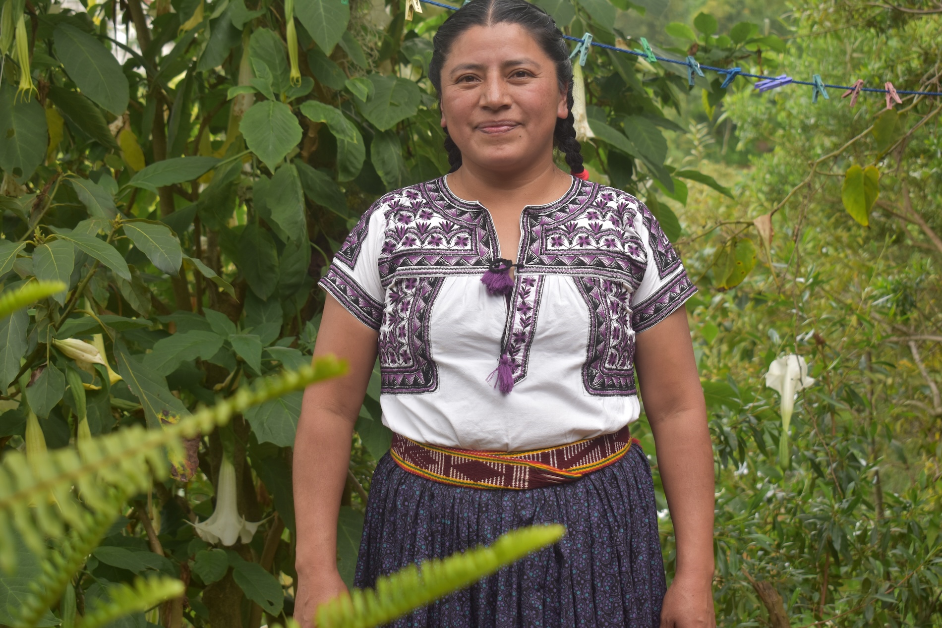 Día Internacional de los Pueblos Indígenas 2026 - Ecuador - México - Panamá - Partería indígena