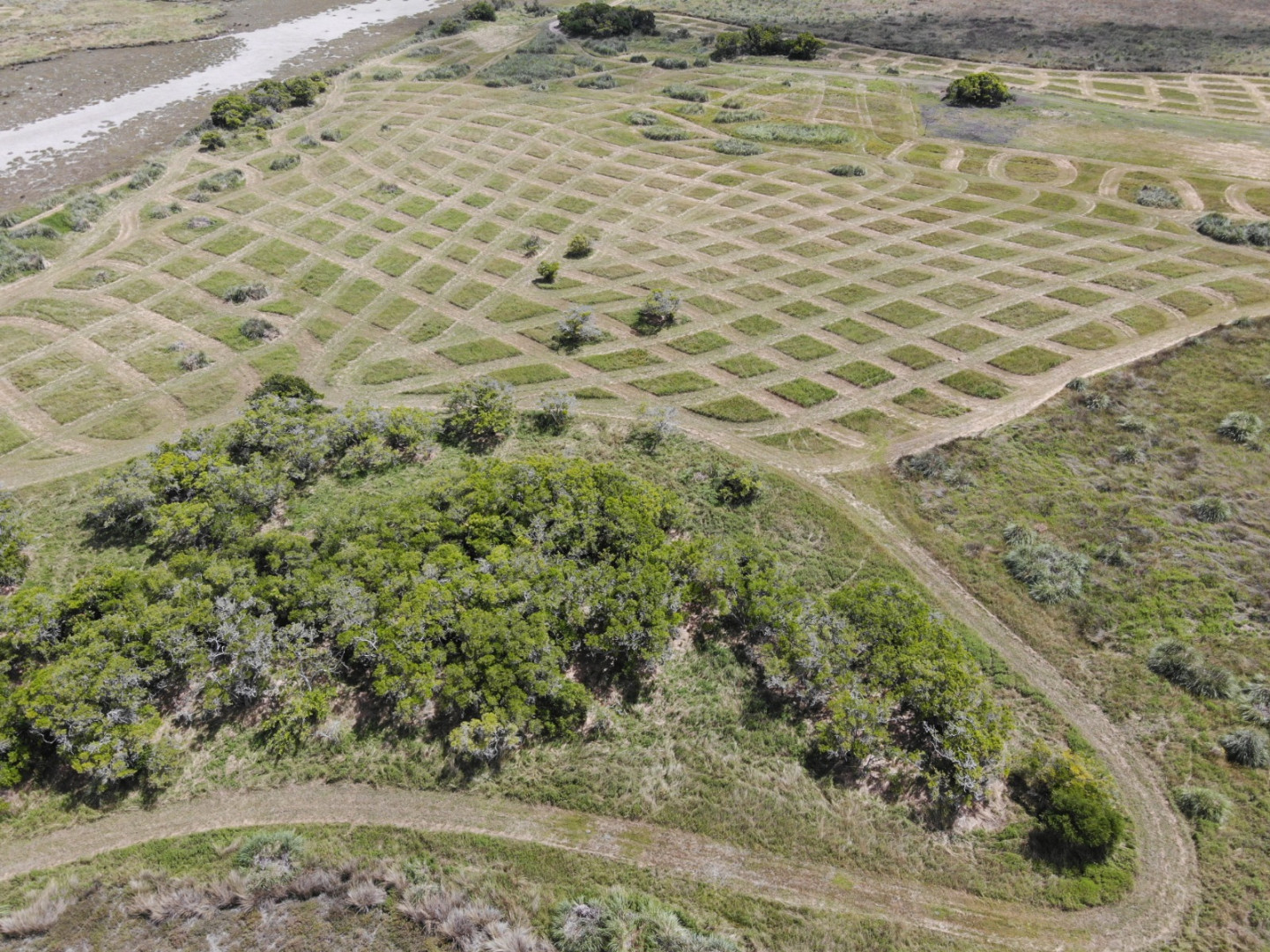 Avance de agricultura en zona de pastizales