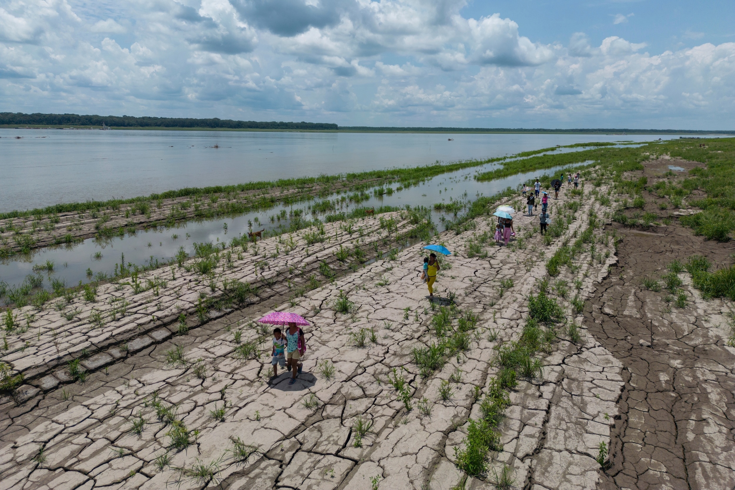 Día Mundial de Acción contra la Desertificación y la Sequía: una crisis silenciosa avanza desde Centroamérica hasta la Amazonía y el Chaco sudamericano