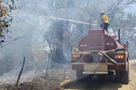incendio_51360913_20260813113403
