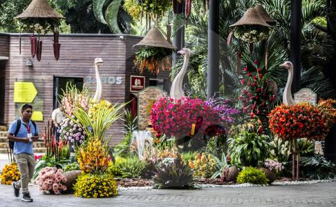 jardin-botanico-c_51307307_20260806113809
