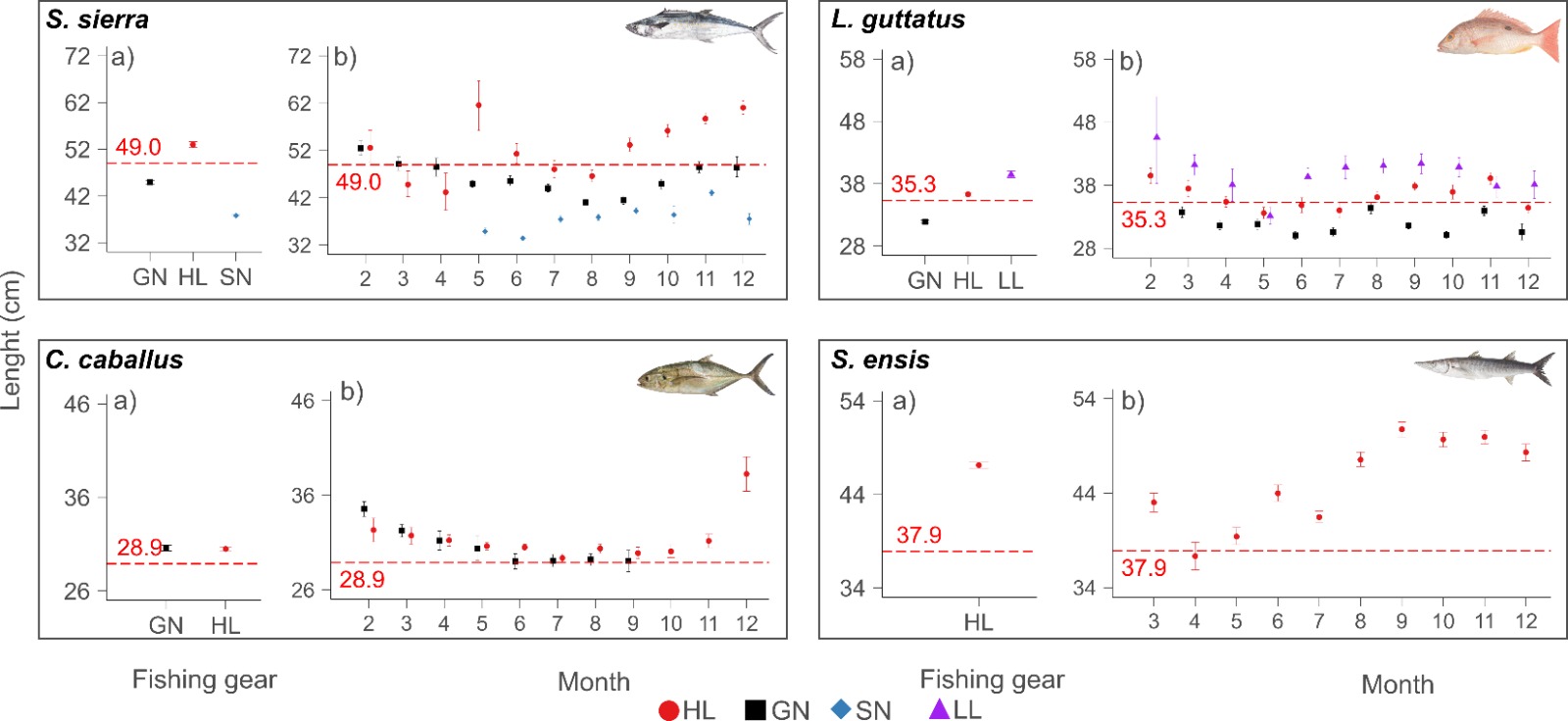 Gráfica sobre el promedio del tamaño de cuatro especies capturadas por diferentes artes de pesca en durante distintos meses.