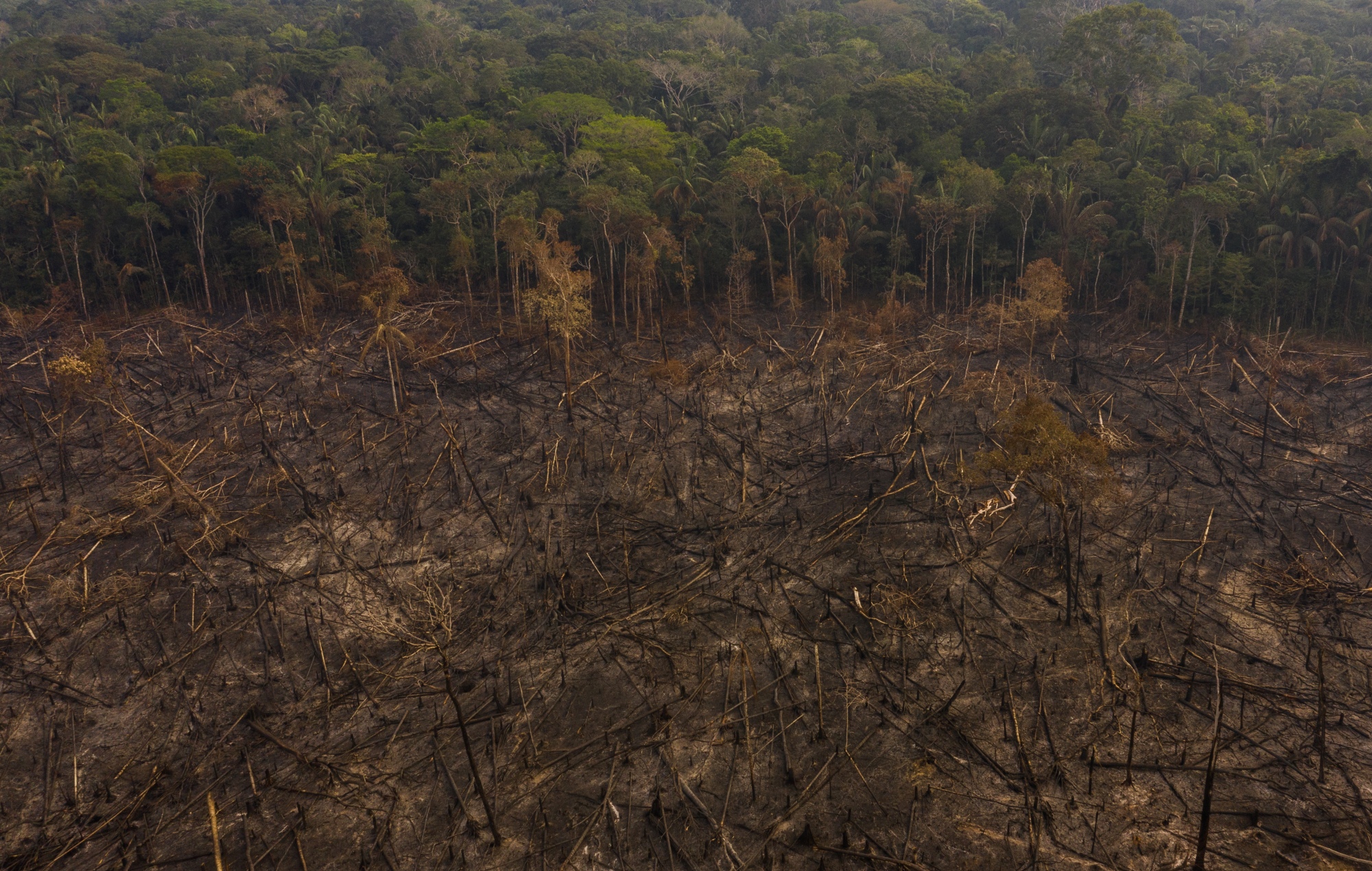 Grandes extensiones de bosque son taladas y quemadas para abrir paso a potreros en Caquetá. La apertura de áreas de 100 o 200 hectáreas requiere maquinaria, combustible, trabajadores y vías para transportar los equipos. Foto: Andrés Cardona