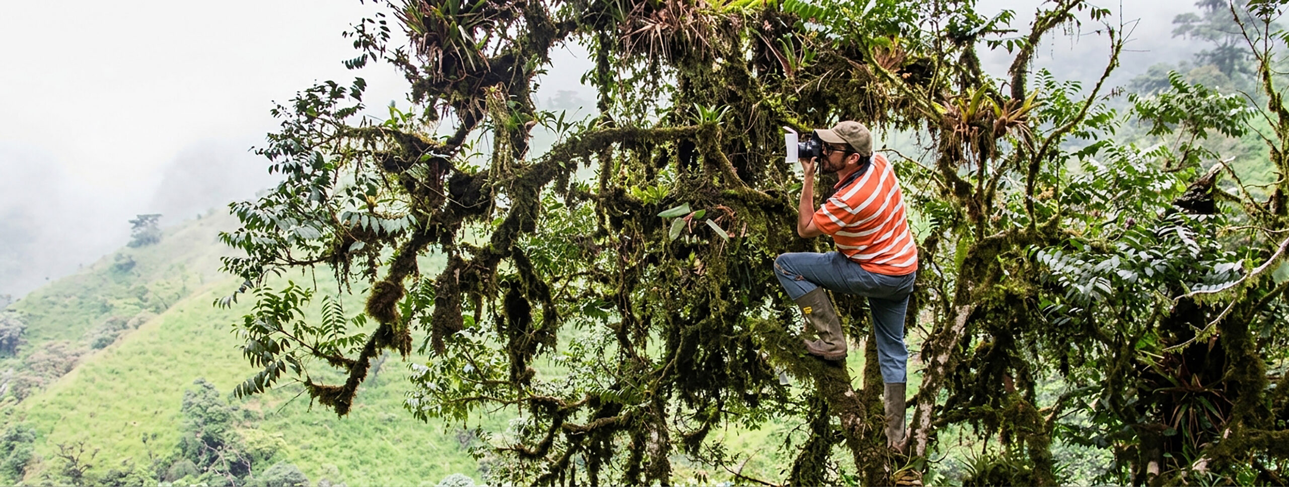 El orquideólogo Luis Baquero trabajando en campo. Foto: cortesía Luis Baquero